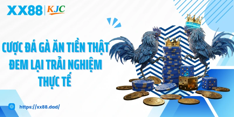 Cược đá gà ăn tiền thật đem lại trải nghiệm thực tế 
