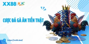 Trải Nghiệm Cược Đá Gà Ăn Tiền Thật Hot Hit Tại XX88