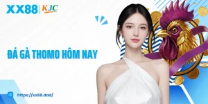 Đá Gà Thomo Hôm Nay