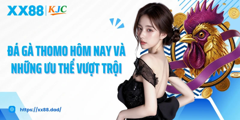 Đá gà thomo hôm nay và những ưu thế vượt trội