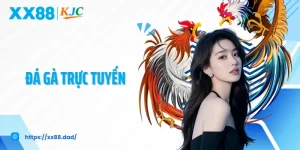 Đá Gà Trực Tuyến