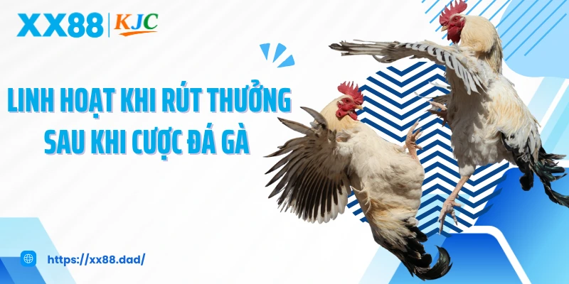 Linh hoạt khi rút thưởng sau khi cược đá gà 