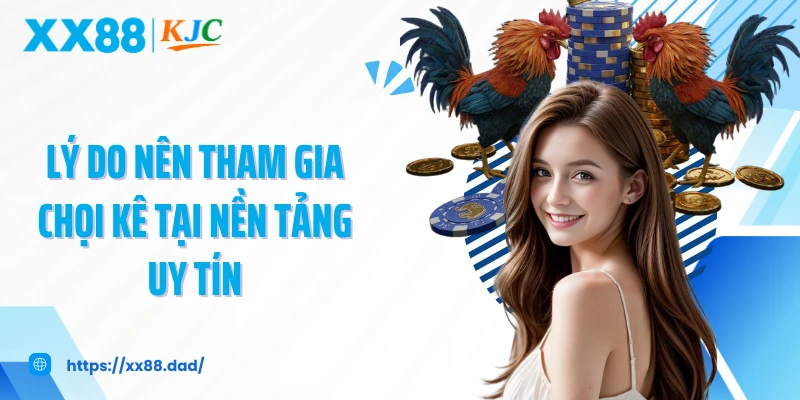 Lý do nên tham gia chọi kê tại nền tảng uy tín 