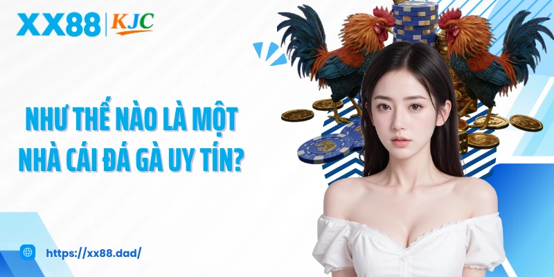 Như thế nào là một nhà cái đá gà uy tín?