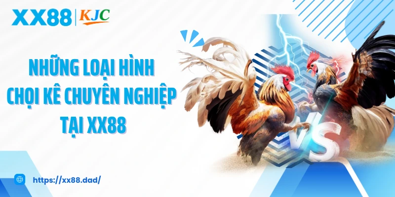 Những loại hình chọi kê chuyên nghiệp tại XX88