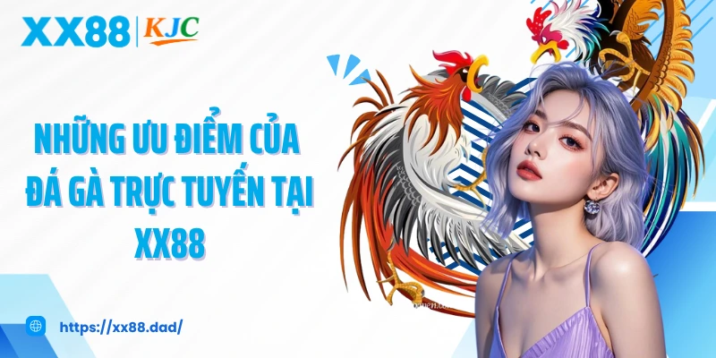 Những ưu điểm của đá gà trực tuyến tại XX88