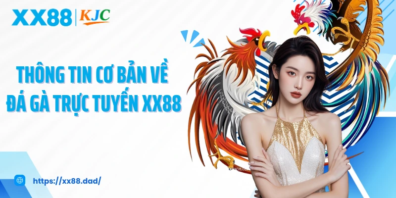 Thông tin cơ bản về đá gà trực tuyến XX88