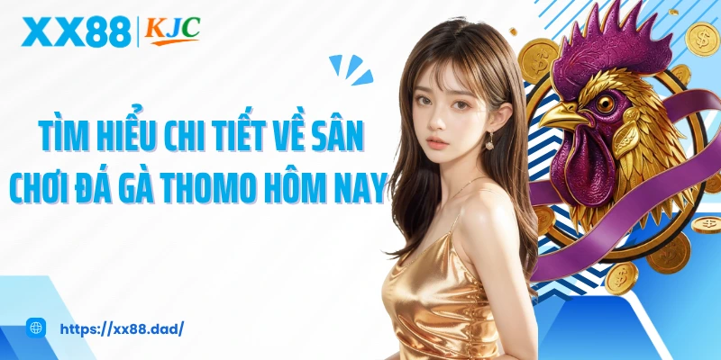 Tìm hiểu chi tiết về sân chơi đá gà thomo hôm nay 