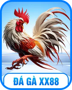ĐÁ GÀ XX88